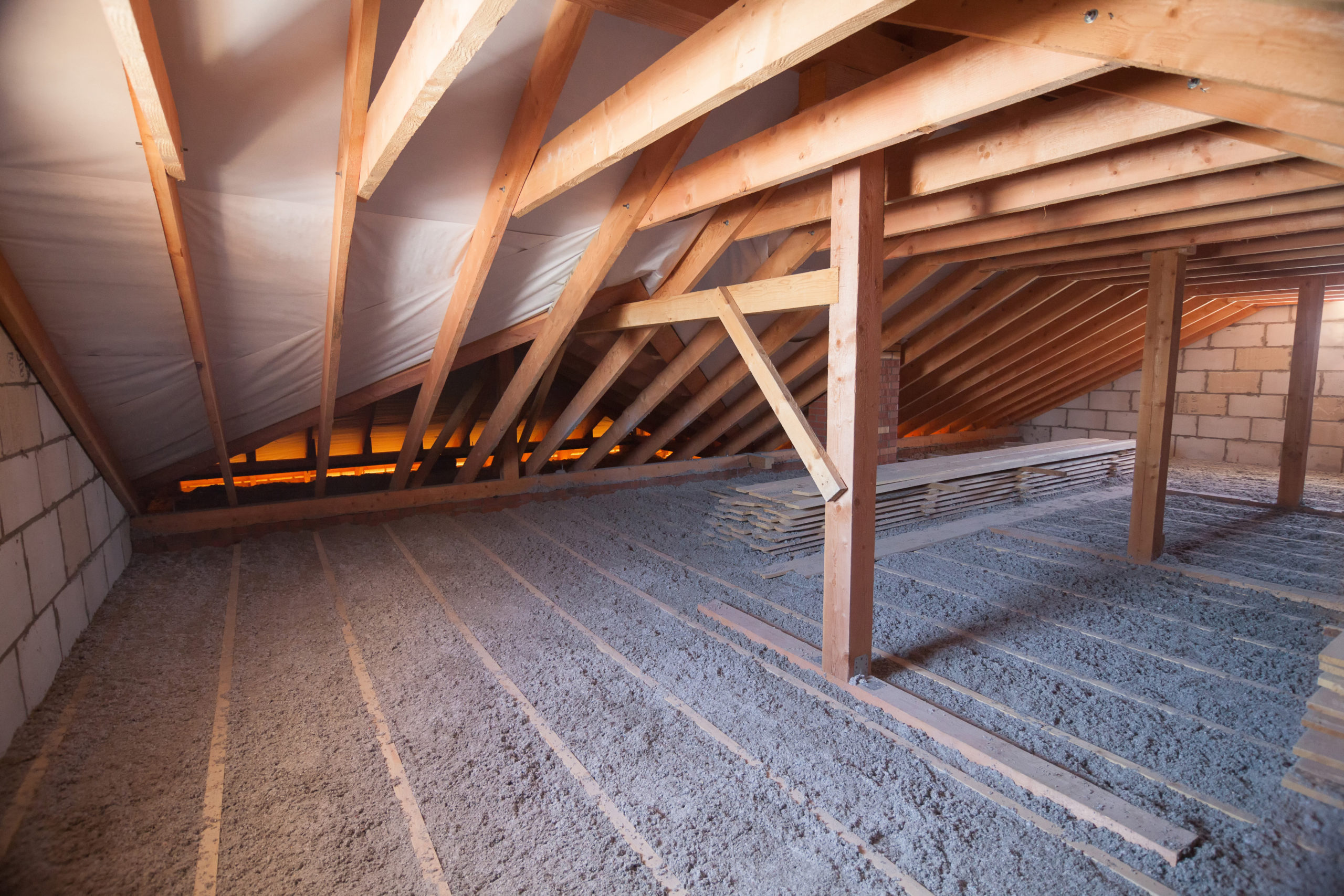 forgotten place attic scaled 8 Forgotten Places that Pests Invade