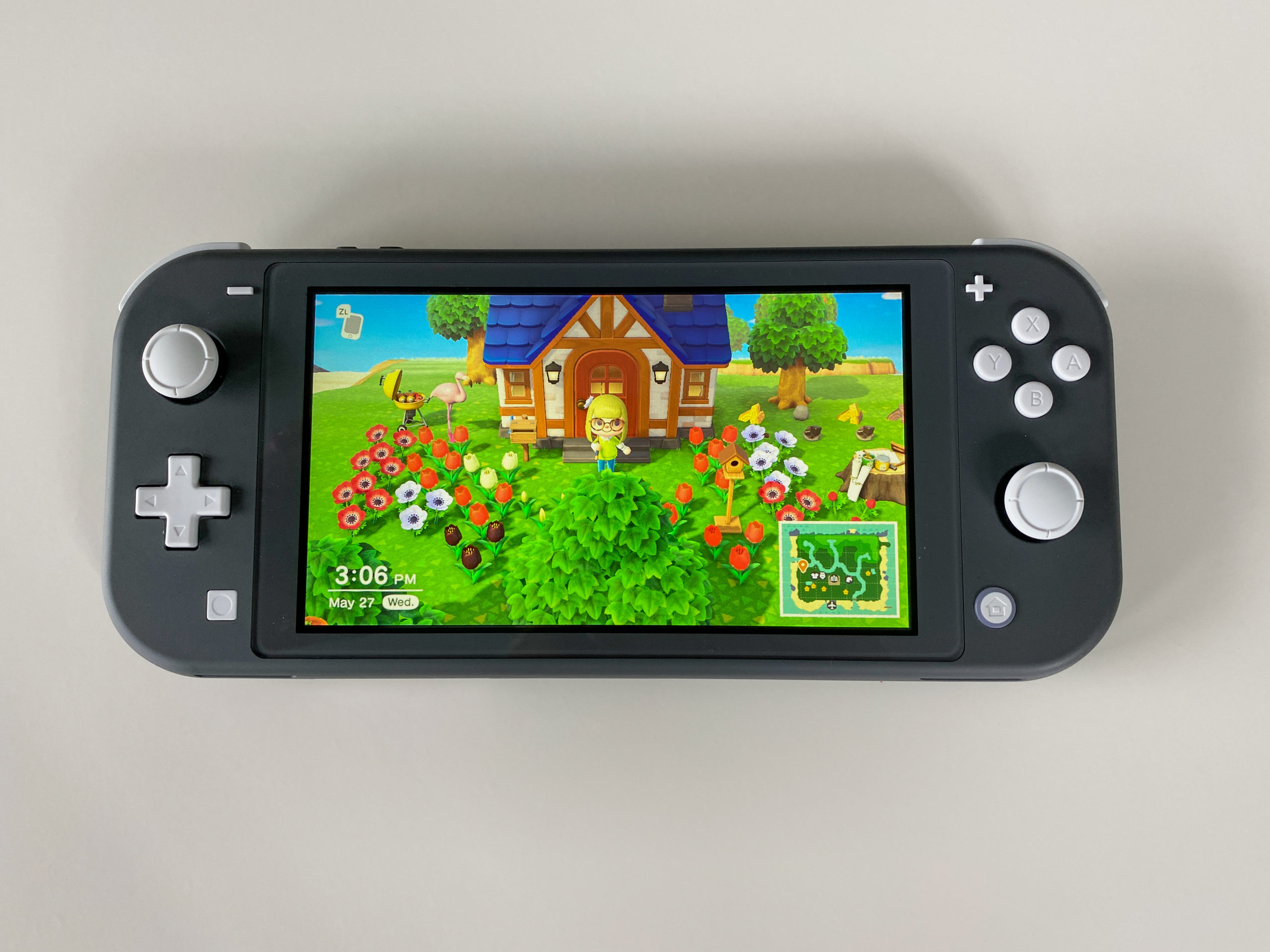 animal crossing collecting scaled Exploring the Accuracies of Insects in Animal Crossing: New Horizons