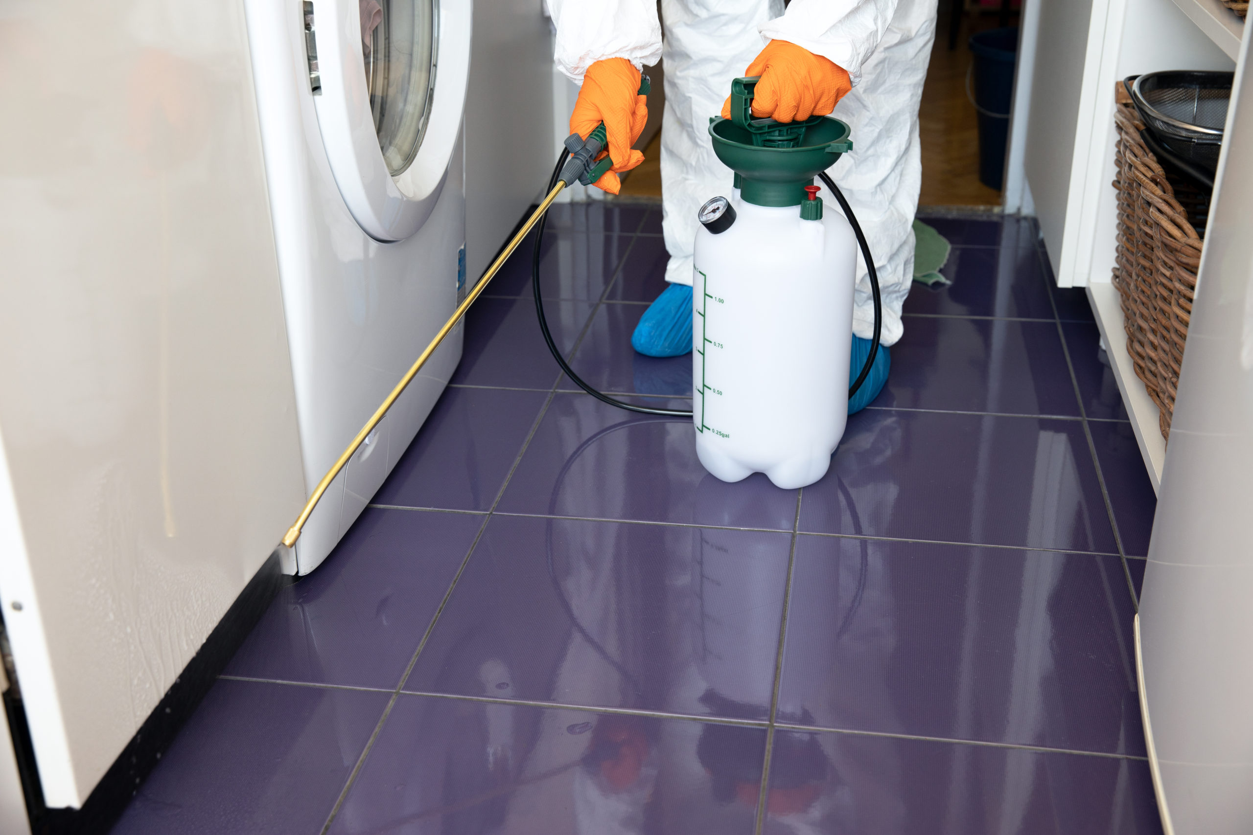 dont know licensing scaled 8 Things You Didn’t Know About Pest Control Services