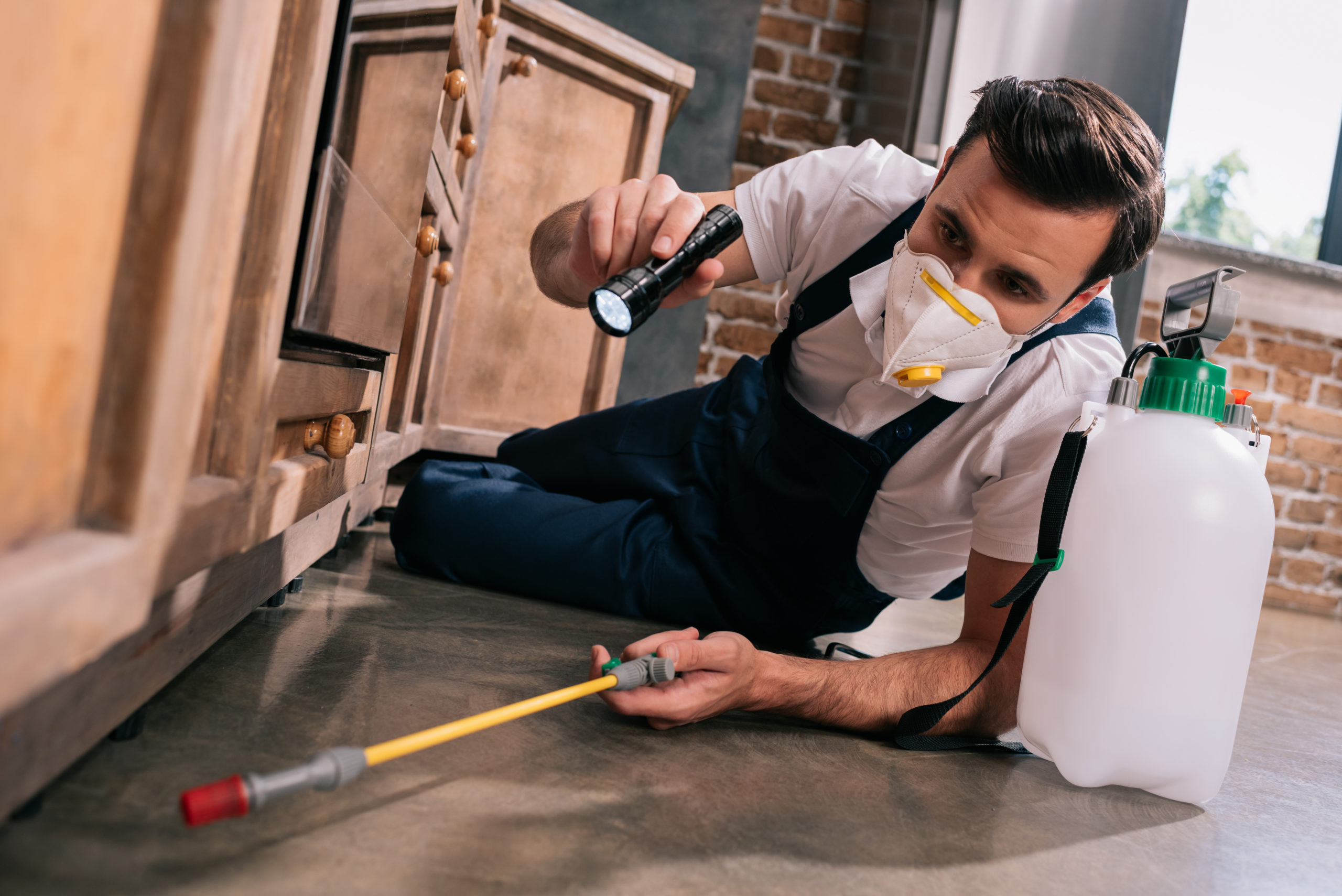 dont know more pesticides scaled 8 Things You Didn’t Know About Pest Control Services