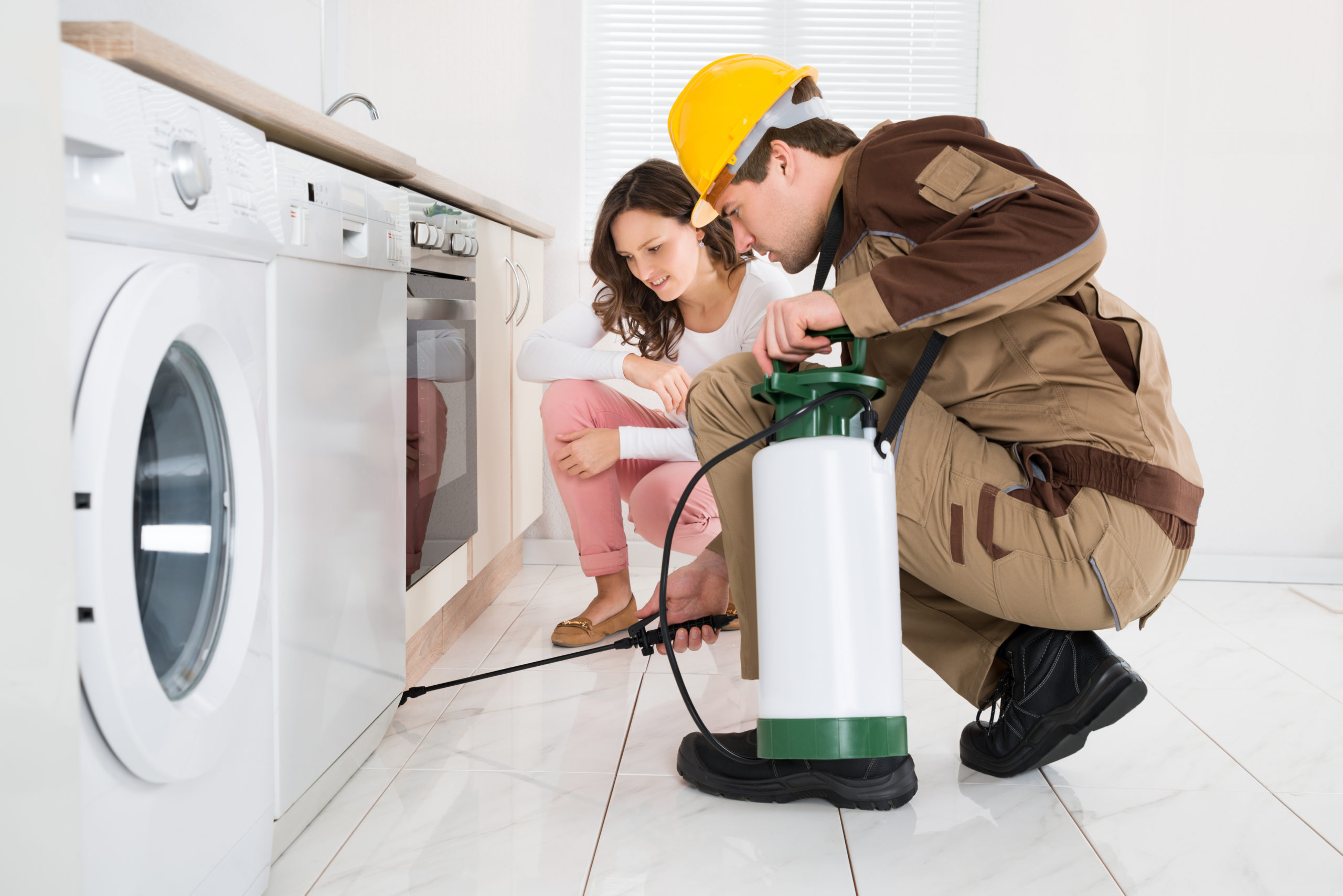 why pro cover scaled Why is Professional Pest Control Better than DIY?
