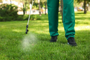 football 2 pest control Worker,Spraying,Pesticide,Onto,Green,Lawn,Outdoors,,Closeup.,Pest,Control