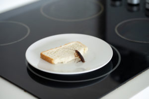 baking roaches A,Cockroach,Is,Sitting,On,A,Piece,Of,Bread,In