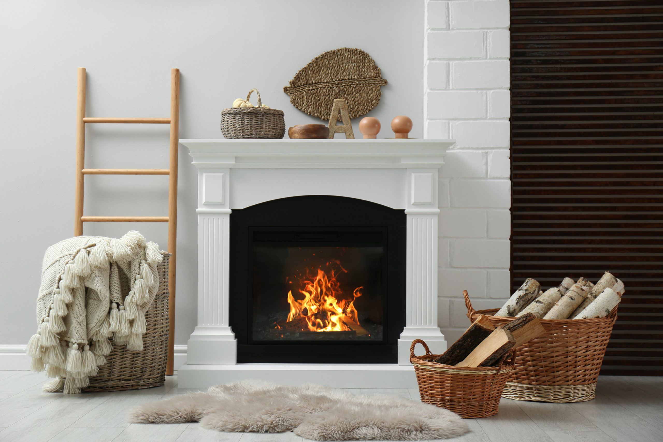 fireplace cover scaled 5 Frustrating Fireplace Pests