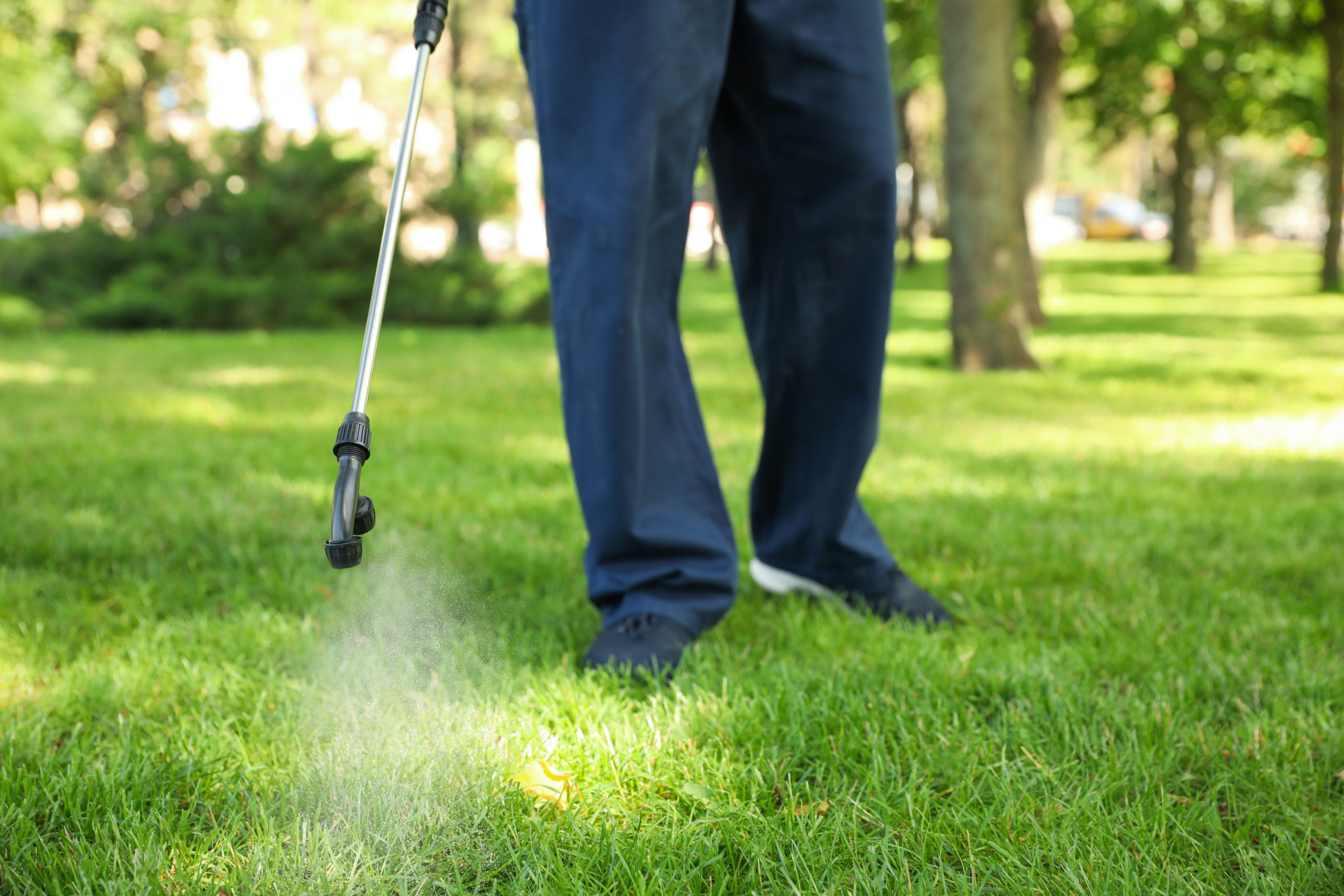 things to remember multiple treat scaled 6 Common Pest Control Questions - Answered!