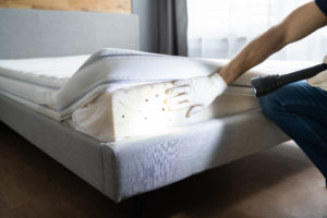 things to remember pest control Bed,Bug,Infestation,And,Treatment,Service.,Bugs,Extermination