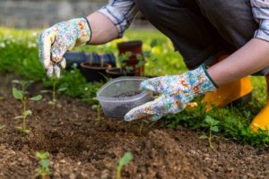 what if day off millipedes Eco,Friendly,Gardening.,Woman,Preparing,Soil,For,Planting,,Fertilizing,With