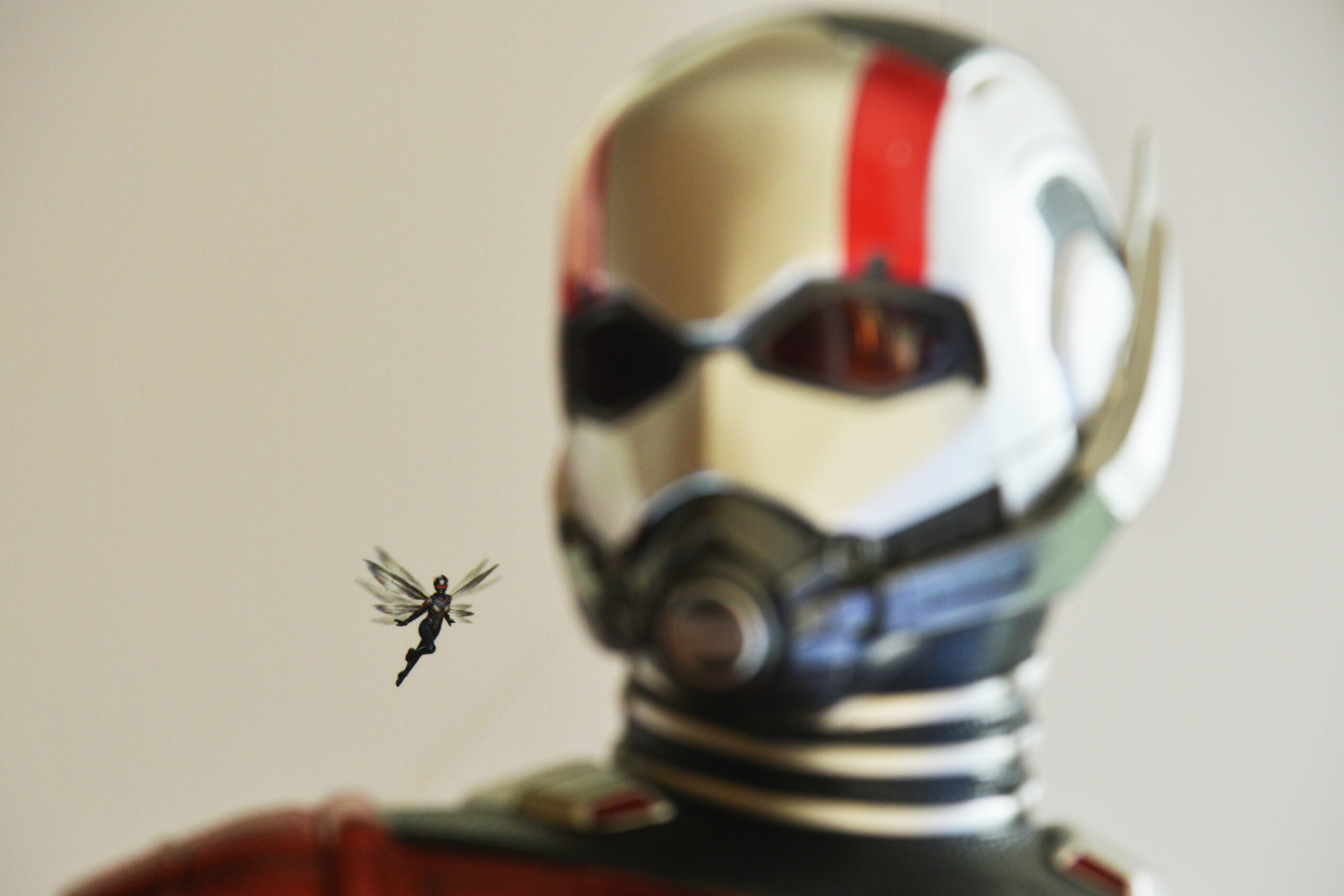 ant man research scaled Are Ant-Man’s Ants Realistic?
