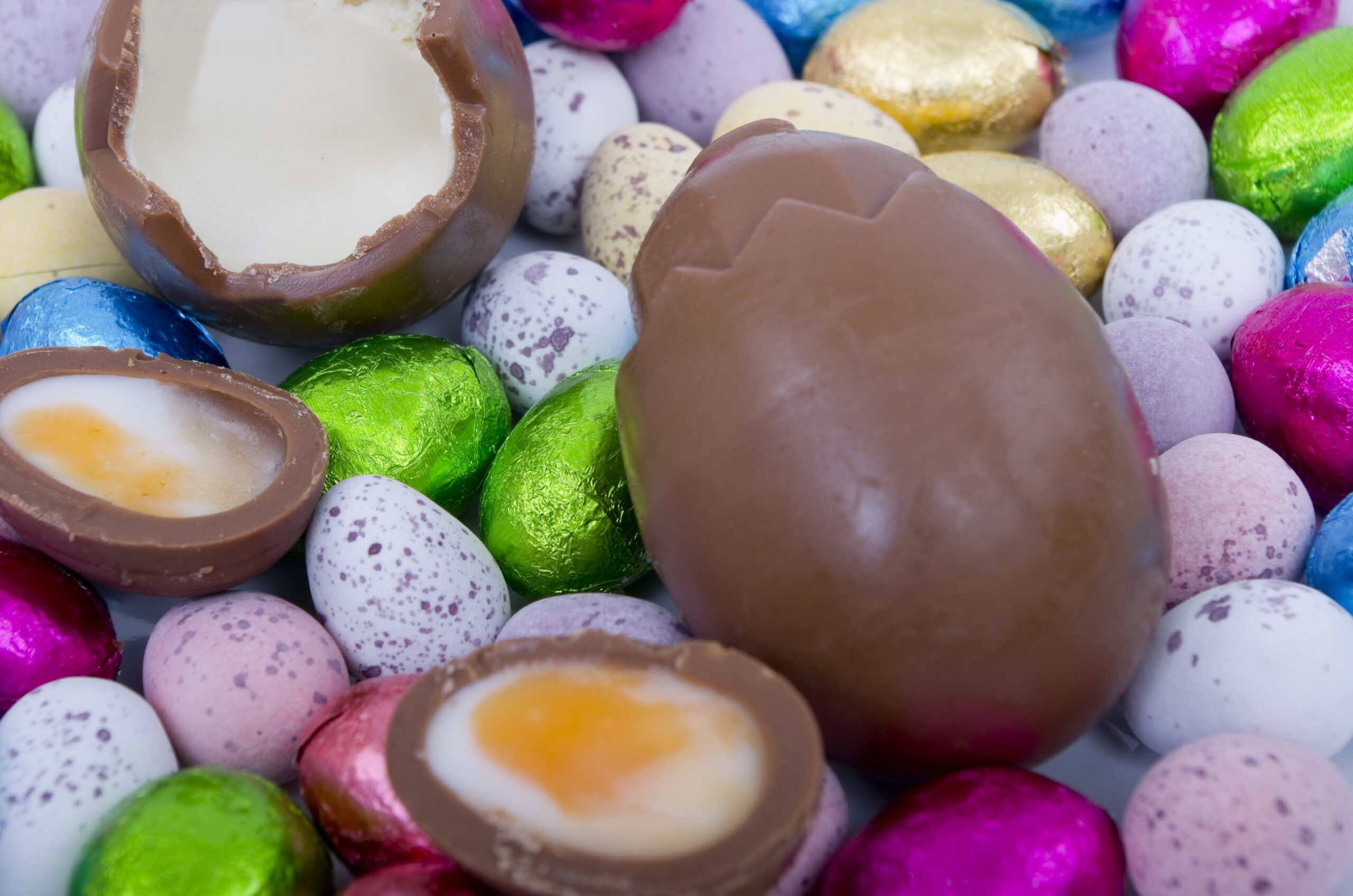 what if easter roaches scaled What If Pests Had a Favorite Easter Candy?