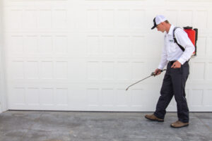 Pointetechspraying5 Pointetechspraying5