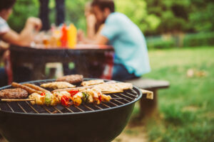 bbq pests cover Friends,Making,Barbecue,And,Having,Lunch,In,The,Nature.