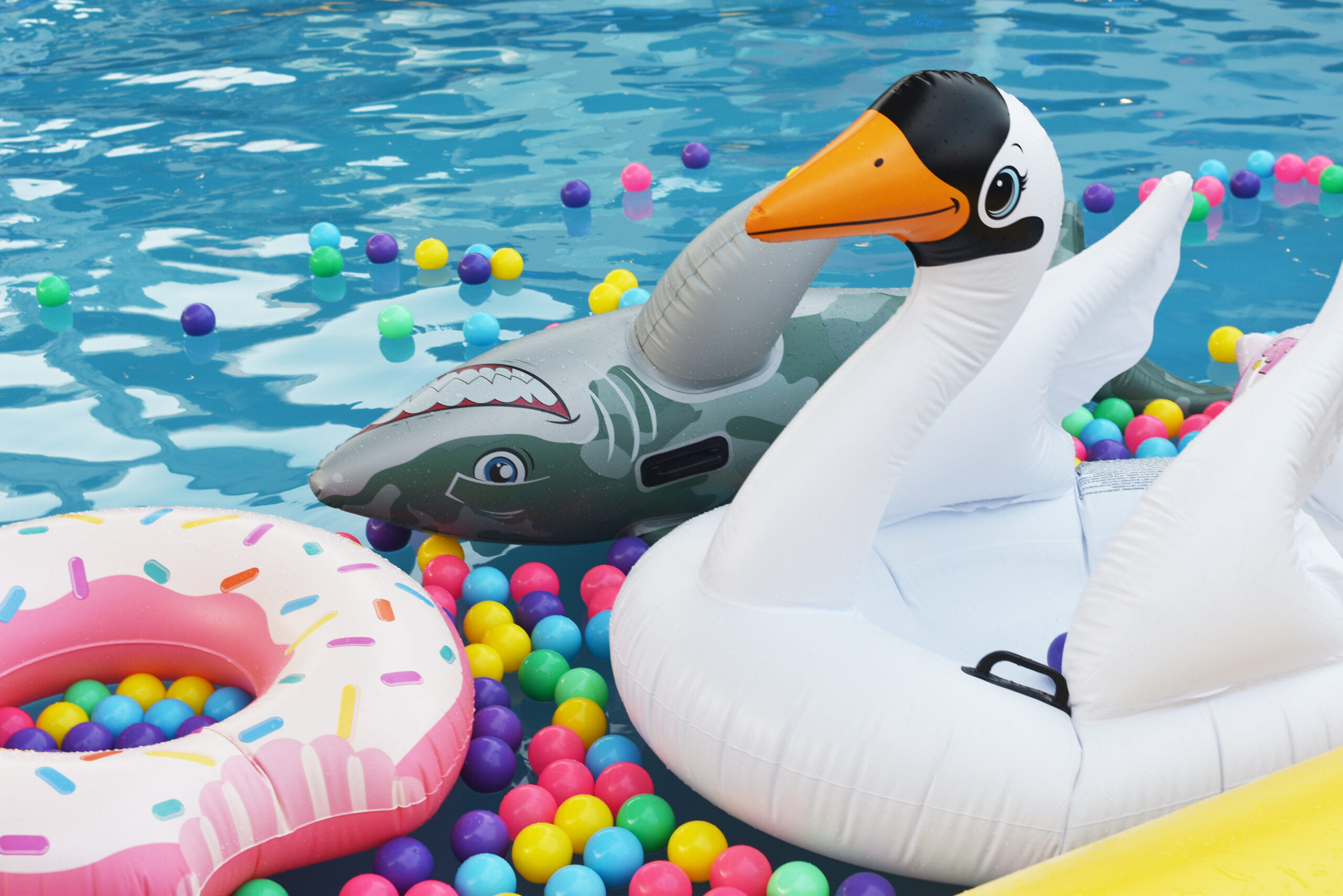 pool party toys scaled How to Have a Pest-Free Pool Party