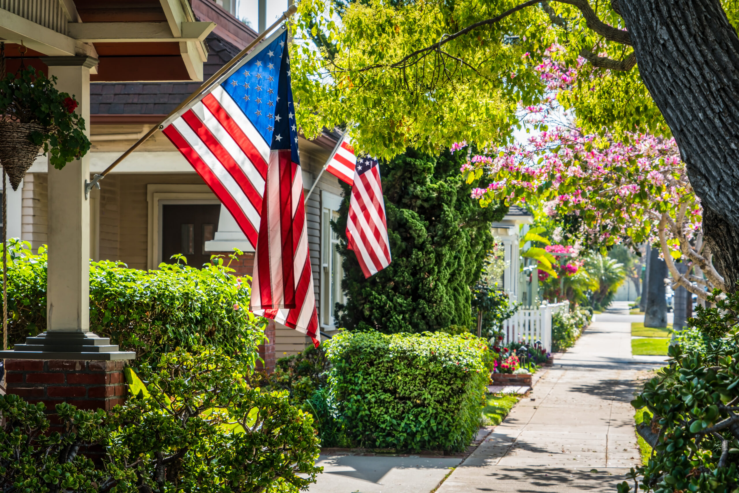 us pests cover scaled 10 Common Pests in the United States