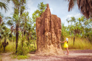 big bugs termites Woman,Standing,By,A,Giant,Mound,Of,Termites