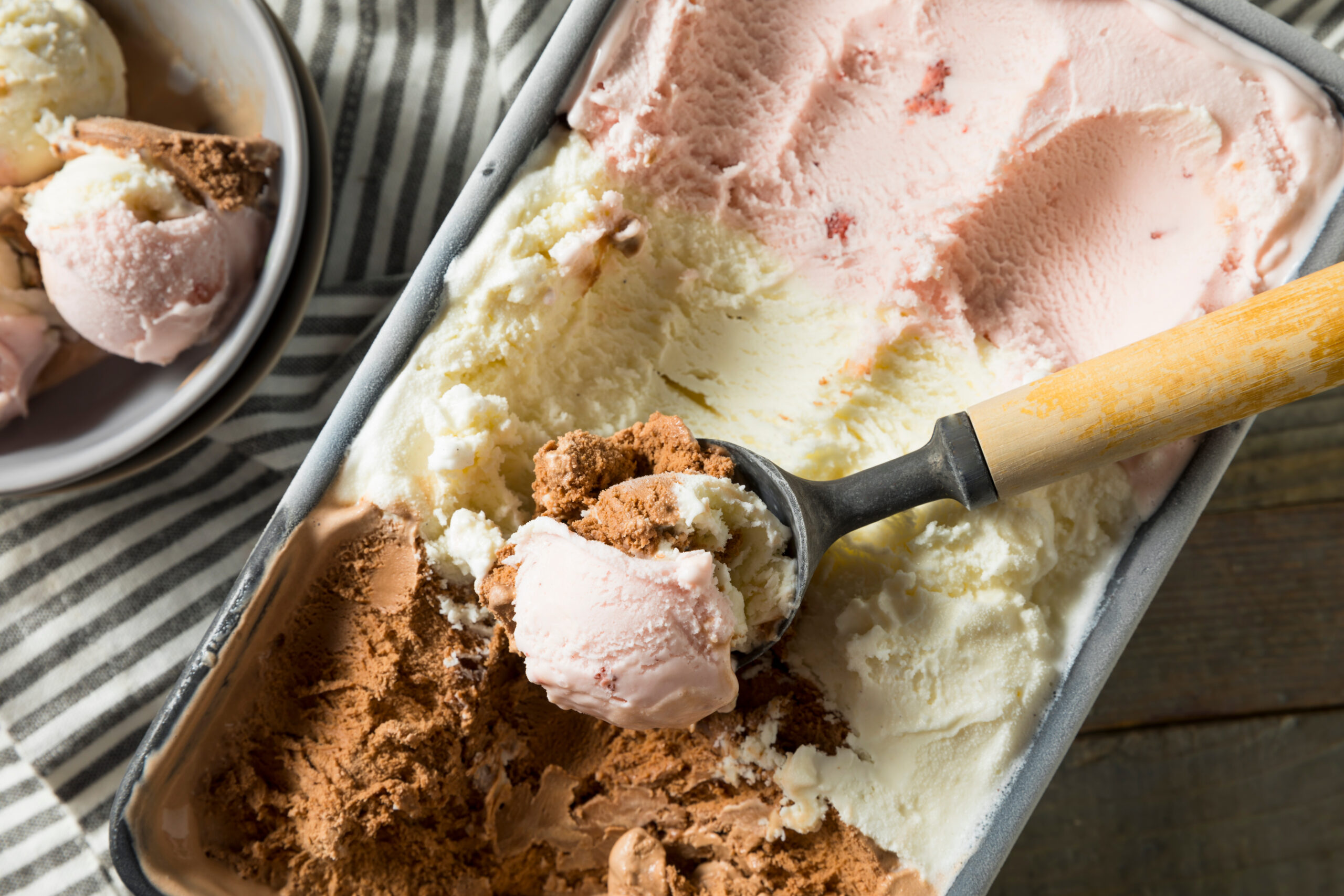 ice cream neapolitan scaled What If Pests Had Favorite Ice Cream Flavors?