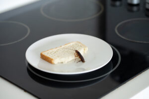 why roaches food A,Cockroach,Is,Sitting,On,A,Piece,Of,Bread,In