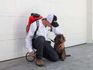pet pest cover pet pest cover