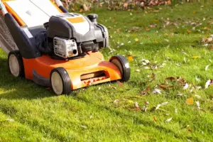 fall yard mowing fall yard mowing