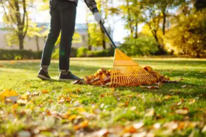 fall yard raking fall yard raking