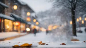 hallmark home hallmark home