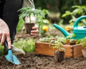 eco cover g Pointe Pest Control | Pest Control Services in Chicago