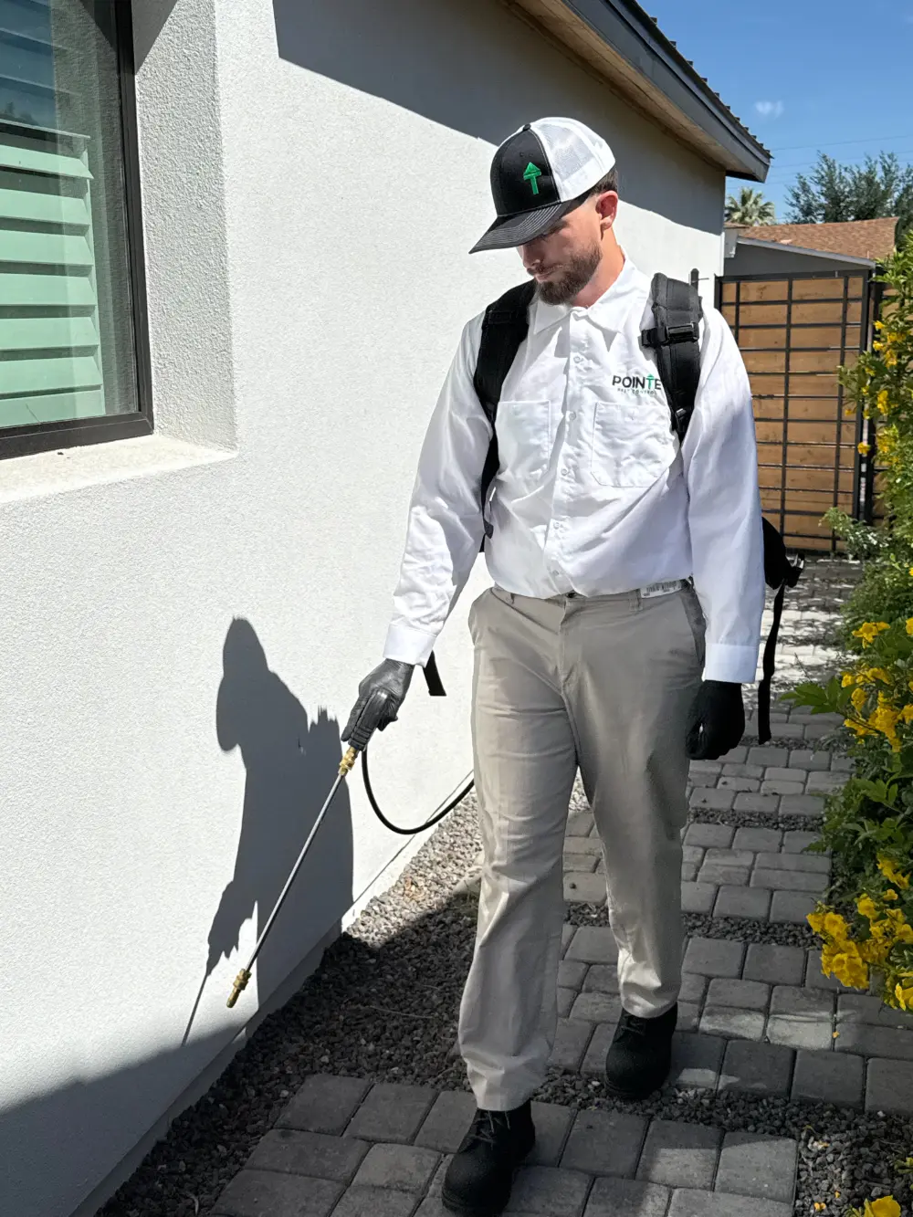 pointe-exterminator-home-exterior pointe exterminator home Exterminator