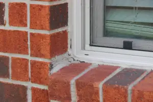 spiderwebs prevent spiderwebs prevent