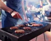 bbq cover Pointe Pest Control | Pest Control Services in Chicago