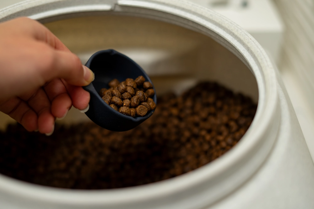 pil1 food sources Your Garage Could be Hiding Pests: Here’s Why