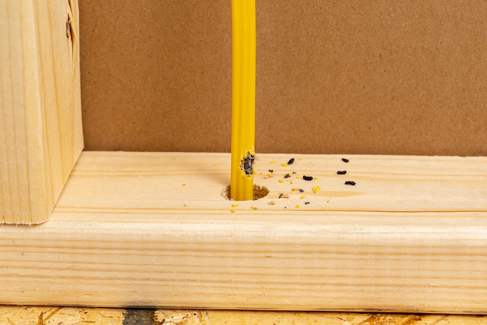 pil2 signs Why Rodents Are the Worst Winter Pests