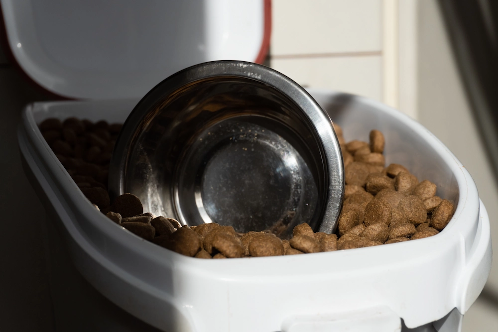 pet food in container