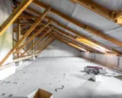 attics attract pests