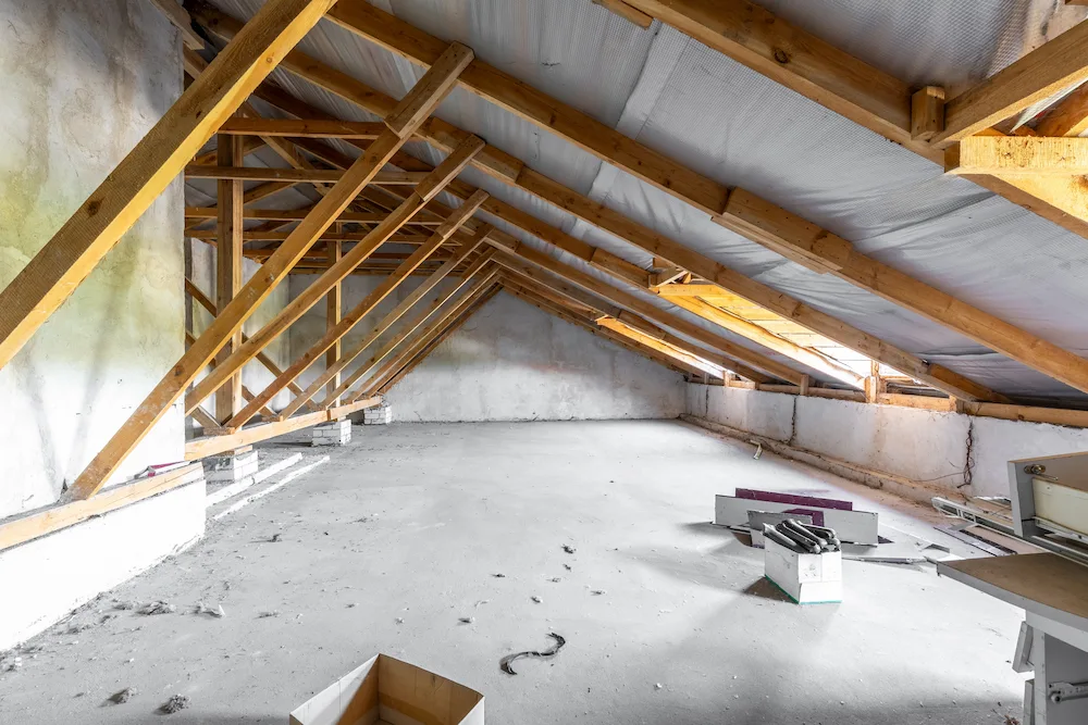 attics attract pests