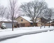 snowy street; winter pest treatments