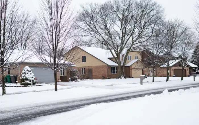 snowy street; winter pest treatments