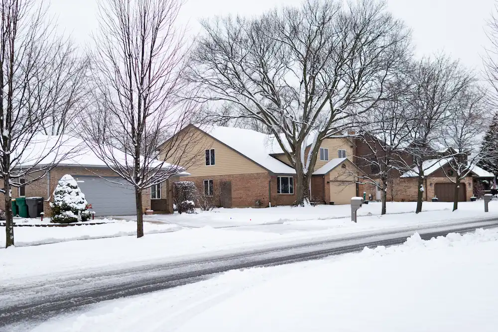 snowy street; winter pest treatments