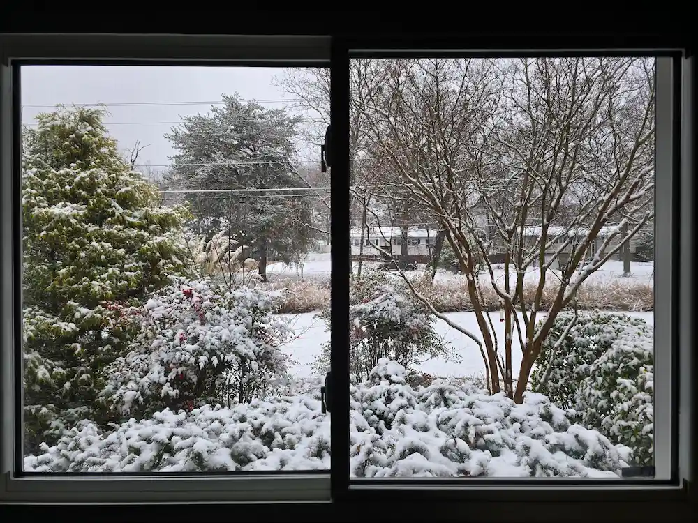 snowy window landscape