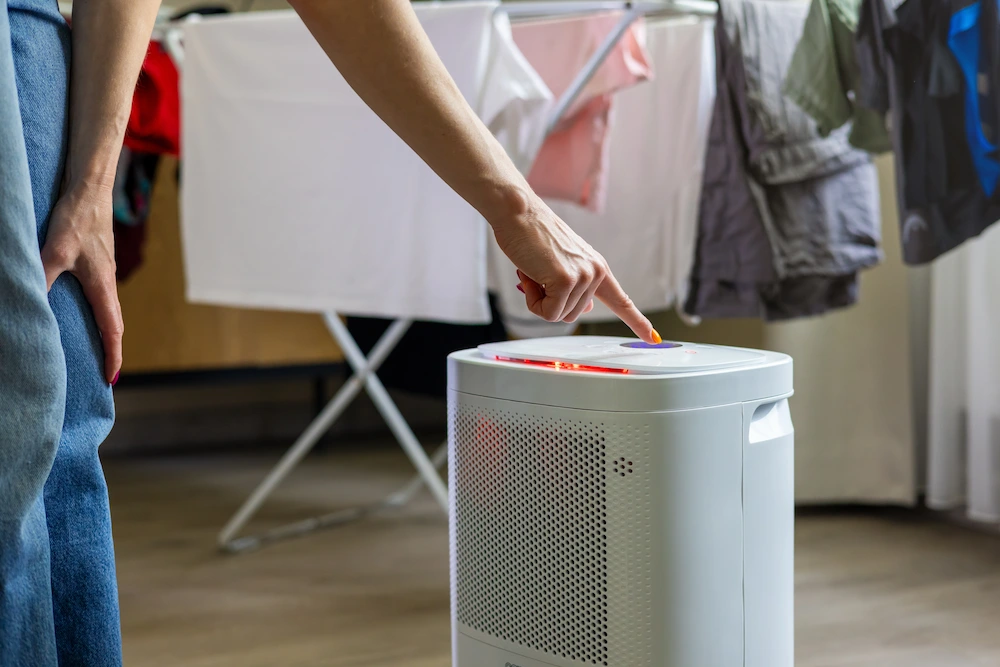dehumidifier in laundry area