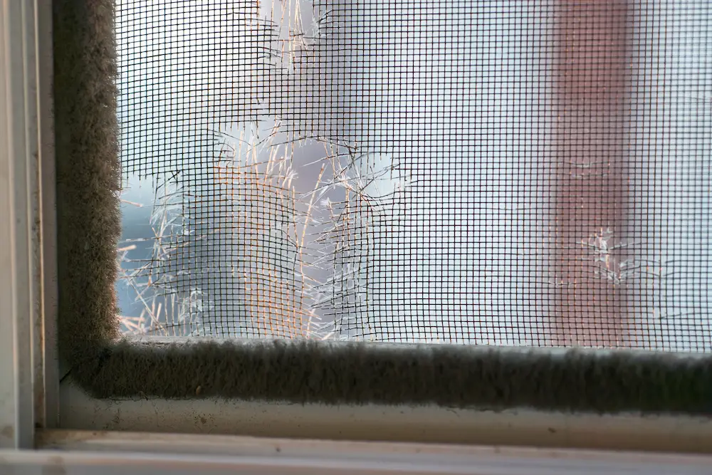 torn window screen