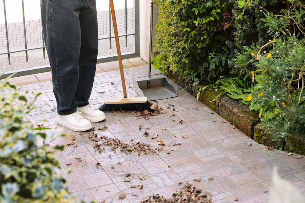 sweeping leaves