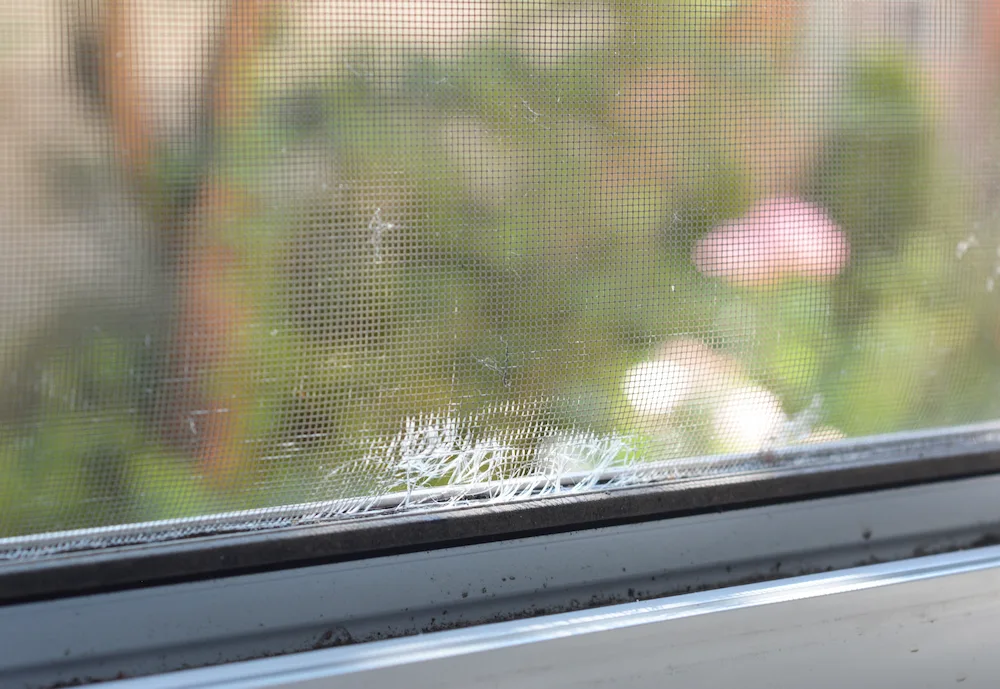 window screen
