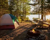 how to prevent pests while camping
