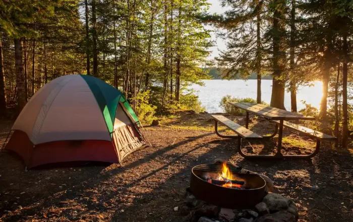 how to prevent pests while camping