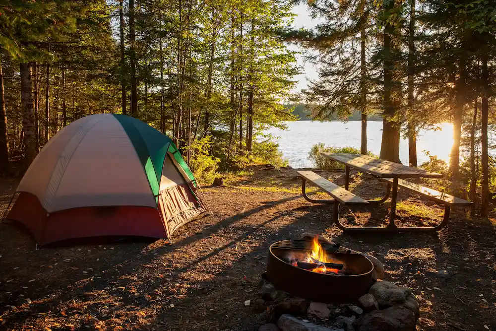 how to prevent pests while camping