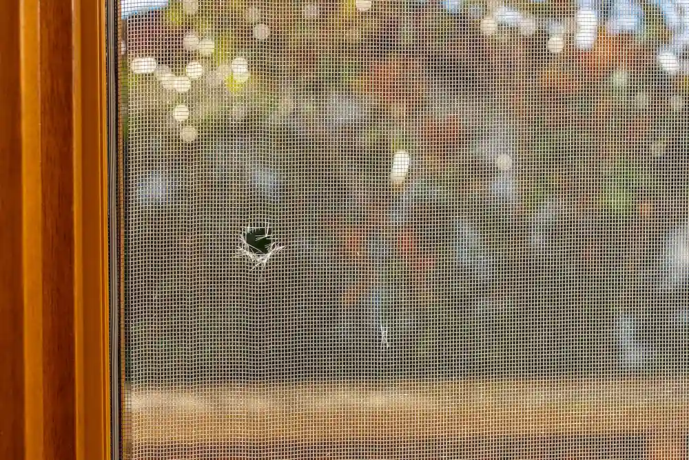 hole in screen
