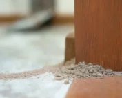 routine pest inspections