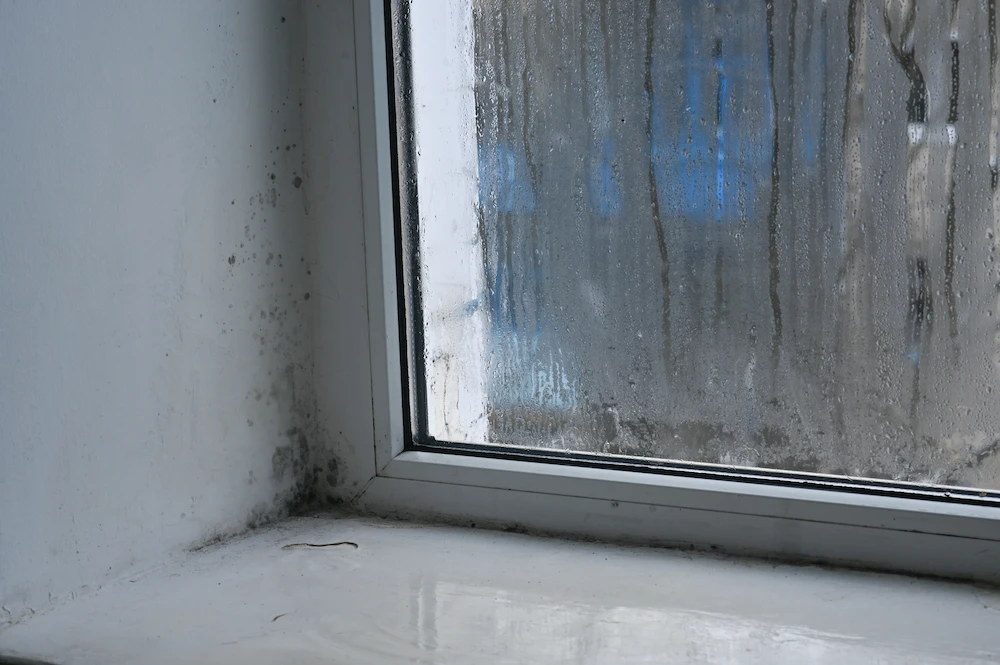 condensation in window